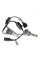 Лампы светодиодные QLine Hight V HB4 9006 6000K (2шт.)