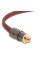 Кабель міжблочний FOCAL EY05 RCA ELITE