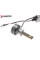 Лампы светодиодные Baxster PW H1 6000K (2шт)