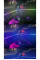 Подсветка салона Prime-X AMBIENT LIGHT 10 В 1 (black)