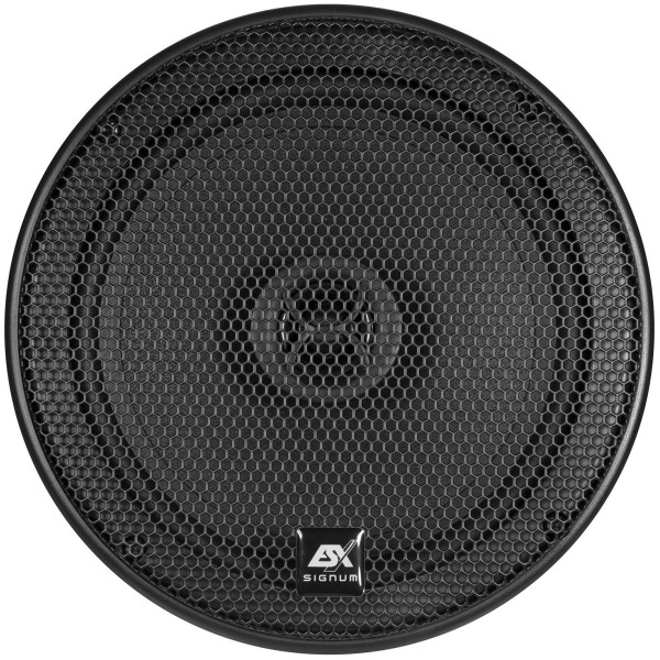 Акустика ESX SXE62
