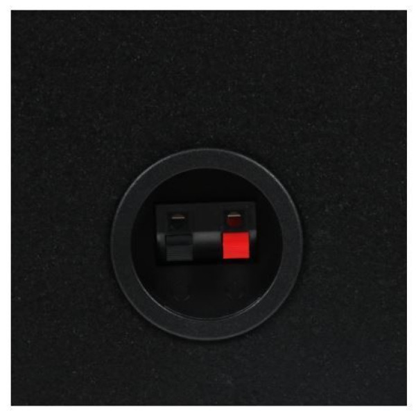 Сабвуфер Pioneer TS-WX306T