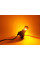 Габарит LED StarLight Vision PY21W (T25) BRS LED BAU15S Amber 12V