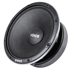 Естрадна акустика Voice EX-65L