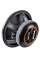 Естрадна акустика Voice EX-80L