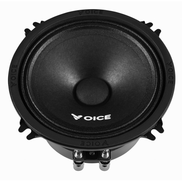 Естрадна акустика Voice PX-130