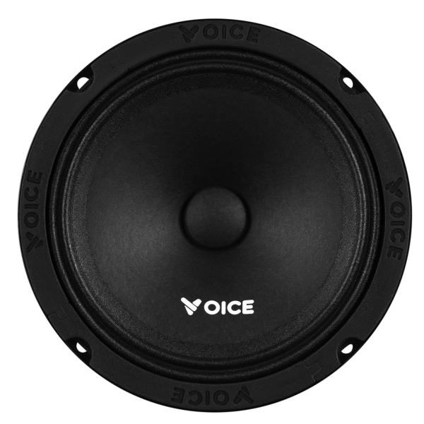 Естрадна акустика Voice PX-165