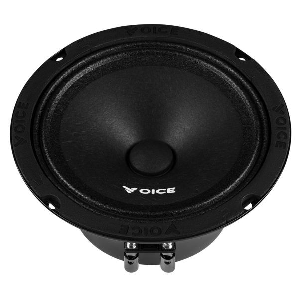 Естрадна акустика Voice PX-165