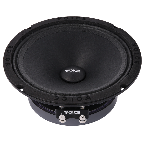 Естрадна акустика Voice SP-60A
