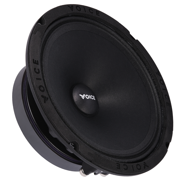 Естрадна акустика Voice SP-60A