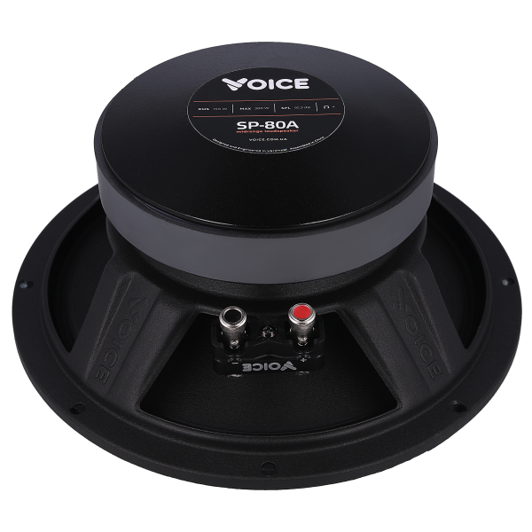 Естрадна акустика Voice SP-80A