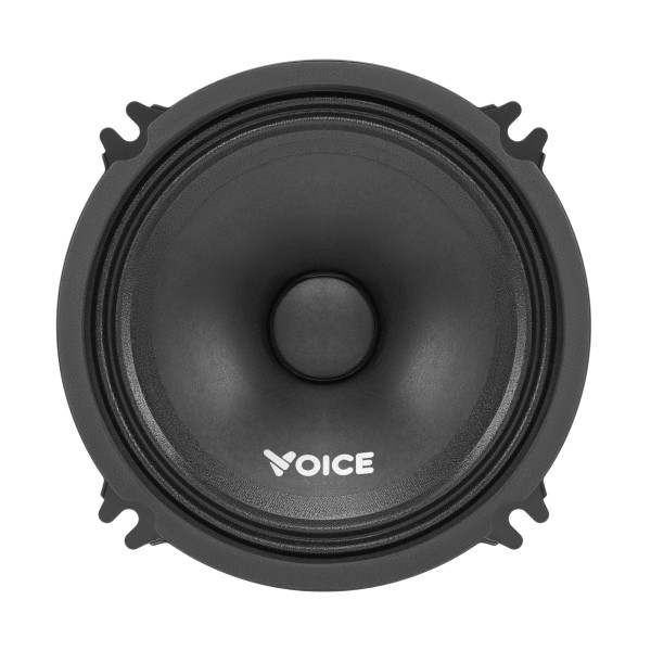 Эстрадная акустика Voice ST-130