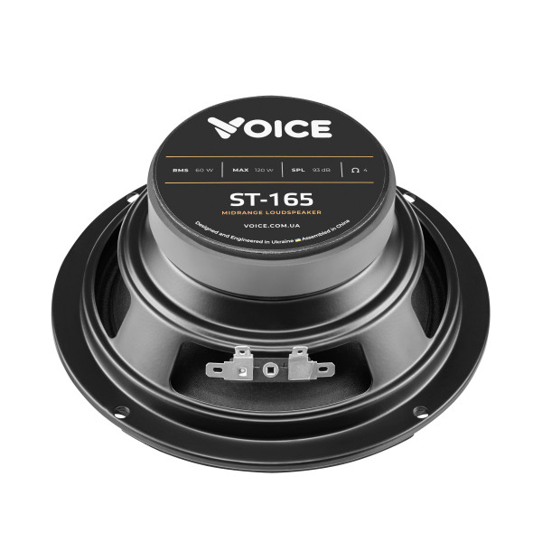Эстрадная акустика Voice ST-165