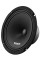 Эстрадная акустика Voice ST-200