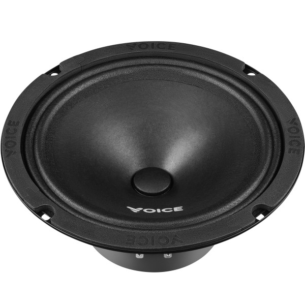 Эстрадная акустика Voice ST-200