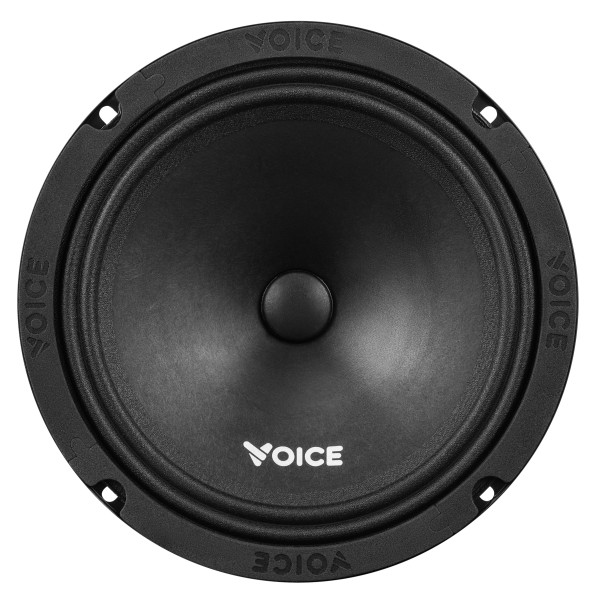 Эстрадная акустика Voice ST-200