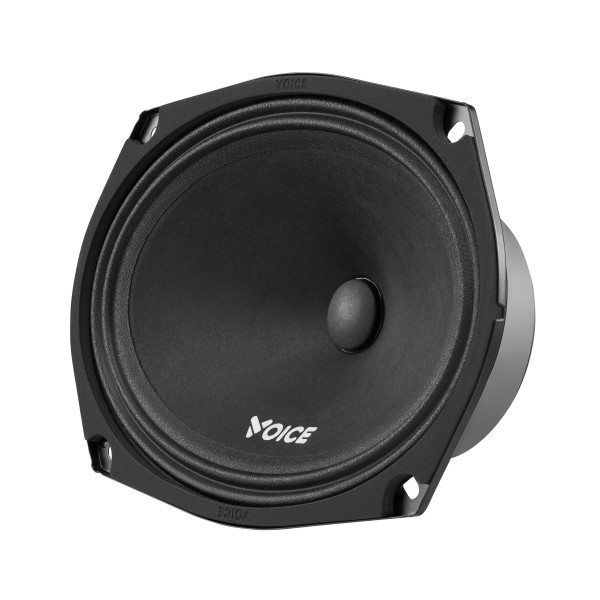 Эстрадная акустика Voice ST-69